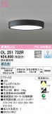 ODELIC ǥå 󥰥饤 OL251732RþʾLEDη¡ʰΡѤ䡡Ҹ -LIGHTING DEPOT-