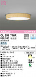 ODELIC ǥå 󥰥饤 OL251746RþʾLEDη¡ʰΡѤ䡡Ҹ -LIGHTING DEPOT-