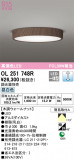 ODELIC ǥå 󥰥饤 OL251748RþʾLEDη¡ʰΡѤ䡡Ҹ -LIGHTING DEPOT-