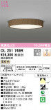 ODELIC ǥå 󥰥饤 OL251749RþʾLEDη¡ʰΡѤ䡡Ҹ -LIGHTING DEPOT-