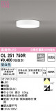 ODELIC ǥå 󥰥饤 OL251750RþʾLEDη¡ʰΡѤ䡡Ҹ -LIGHTING DEPOT-