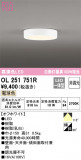 ODELIC ǥå 󥰥饤 OL251751RþʾLEDη¡ʰΡѤ䡡Ҹ -LIGHTING DEPOT-