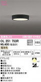 ODELIC ǥå 󥰥饤 OL251753RþʾLEDη¡ʰΡѤ䡡Ҹ -LIGHTING DEPOT-