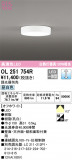 ODELIC ǥå 󥰥饤 OL251754RþʾLEDη¡ʰΡѤ䡡Ҹ -LIGHTING DEPOT-