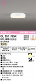 ODELIC ǥå 󥰥饤 OL251755RþʾLEDη¡ʰΡѤ䡡Ҹ -LIGHTING DEPOT-