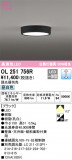 ODELIC ǥå 󥰥饤 OL251756RþʾLEDη¡ʰΡѤ䡡Ҹ -LIGHTING DEPOT-