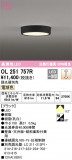 ODELIC ǥå 󥰥饤 OL251757RþʾLEDη¡ʰΡѤ䡡Ҹ -LIGHTING DEPOT-