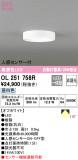 ODELIC ǥå 󥰥饤 OL251758RþʾLEDη¡ʰΡѤ䡡Ҹ -LIGHTING DEPOT-