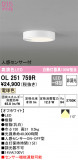 ODELIC ǥå 󥰥饤 OL251759RþʾLEDη¡ʰΡѤ䡡Ҹ -LIGHTING DEPOT-