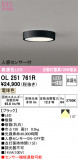 ODELIC ǥå 󥰥饤 OL251761RþʾLEDη¡ʰΡѤ䡡Ҹ -LIGHTING DEPOT-