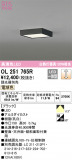 ODELIC ǥå 󥰥饤 OL251765RþʾLEDη¡ʰΡѤ䡡Ҹ -LIGHTING DEPOT-