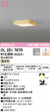 ODELIC ǥå 󥰥饤 OL251767RþʾLEDη¡ʰΡѤ䡡Ҹ -LIGHTING DEPOT-