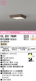 ODELIC ǥå 󥰥饤 OL251769RþʾLEDη¡ʰΡѤ䡡Ҹ -LIGHTING DEPOT-