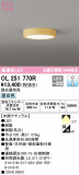 ODELIC ǥå 󥰥饤 OL251770RþʾLEDη¡ʰΡѤ䡡Ҹ -LIGHTING DEPOT-