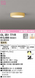 ODELIC ǥå 󥰥饤 OL251771RþʾLEDη¡ʰΡѤ䡡Ҹ -LIGHTING DEPOT-