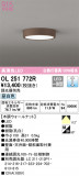 ODELIC ǥå 󥰥饤 OL251772RþʾLEDη¡ʰΡѤ䡡Ҹ -LIGHTING DEPOT-