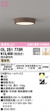 ODELIC ǥå 󥰥饤 OL251773RþʾLEDη¡ʰΡѤ䡡Ҹ -LIGHTING DEPOT-