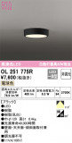 ODELIC ǥå 󥰥饤 OL251775RþʾLEDη¡ʰΡѤ䡡Ҹ -LIGHTING DEPOT-