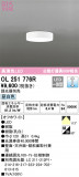 ODELIC ǥå 󥰥饤 OL251776RþʾLEDη¡ʰΡѤ䡡Ҹ -LIGHTING DEPOT-