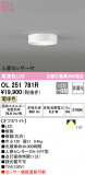 ODELIC ǥå 󥰥饤 OL251781RþʾLEDη¡ʰΡѤ䡡Ҹ -LIGHTING DEPOT-