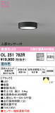 ODELIC ǥå 󥰥饤 OL251782RþʾLEDη¡ʰΡѤ䡡Ҹ -LIGHTING DEPOT-