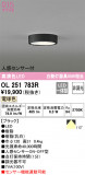 ODELIC ǥå 󥰥饤 OL251783RþʾLEDη¡ʰΡѤ䡡Ҹ -LIGHTING DEPOT-