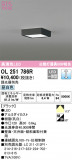 ODELIC ǥå 󥰥饤 OL251786RþʾLEDη¡ʰΡѤ䡡Ҹ -LIGHTING DEPOT-