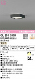 ODELIC ǥå 󥰥饤 OL251787RþʾLEDη¡ʰΡѤ䡡Ҹ -LIGHTING DEPOT-