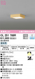 ODELIC ǥå 󥰥饤 OL251788RþʾLEDη¡ʰΡѤ䡡Ҹ -LIGHTING DEPOT-