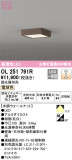 ODELIC ǥå 󥰥饤 OL251791RþʾLEDη¡ʰΡѤ䡡Ҹ -LIGHTING DEPOT-