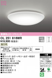 ODELIC ǥå 󥰥饤 OL251816WRþʾLEDη¡ʰΡѤ䡡Ҹ -LIGHTING DEPOT-