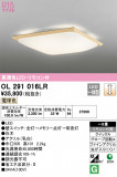 ODELIC ǥå 󥰥饤 OL291016LRþʾLEDη¡ʰΡѤ䡡Ҹ -LIGHTING DEPOT-