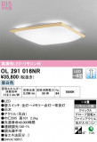 ODELIC ǥå 󥰥饤 OL291016NRþʾLEDη¡ʰΡѤ䡡Ҹ -LIGHTING DEPOT-