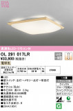 ODELIC ǥå 󥰥饤 OL291017LRþʾLEDη¡ʰΡѤ䡡Ҹ -LIGHTING DEPOT-