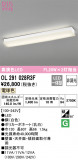 ODELIC ǥå å饤 OL291028R3FþʾLEDη¡ʰΡѤ䡡Ҹ -LIGHTING DEPOT-