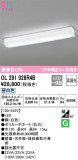 ODELIC ǥå å饤 OL291028R4BþʾLEDη¡ʰΡѤ䡡Ҹ -LIGHTING DEPOT-