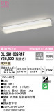 ODELIC ǥå å饤 OL291028R4FþʾLEDη¡ʰΡѤ䡡Ҹ -LIGHTING DEPOT-