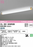 ODELIC ǥå å饤 OL291029R2BþʾLEDη¡ʰΡѤ䡡Ҹ -LIGHTING DEPOT-