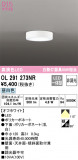 ODELIC ǥå 󥰥饤 OL291273NRþʾLEDη¡ʰΡѤ䡡Ҹ -LIGHTING DEPOT-