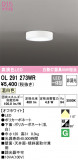 ODELIC ǥå 󥰥饤 OL291273WRþʾLEDη¡ʰΡѤ䡡Ҹ -LIGHTING DEPOT-