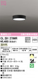 ODELIC ǥå 󥰥饤 OL291279WRþʾLEDη¡ʰΡѤ䡡Ҹ -LIGHTING DEPOT-