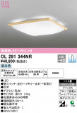 ODELIC ǥå 󥰥饤 OL291344NRþʾLEDη¡ʰΡѤ䡡Ҹ -LIGHTING DEPOT-