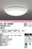 ODELIC ǥå 󥰥饤 OL291345NRþʾLEDη¡ʰΡѤ䡡Ҹ -LIGHTING DEPOT-