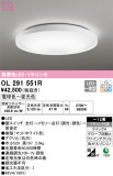 ODELIC ǥå 󥰥饤 OL291551RþʾLEDη¡ʰΡѤ䡡Ҹ -LIGHTING DEPOT-