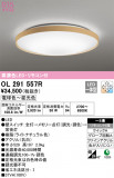 ODELIC ǥå 󥰥饤 OL291557RþʾLEDη¡ʰΡѤ䡡Ҹ -LIGHTING DEPOT-