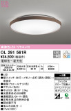 ODELIC ǥå 󥰥饤 OL291561RþʾLEDη¡ʰΡѤ䡡Ҹ -LIGHTING DEPOT-