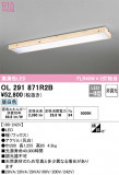 ODELIC ǥå 󥰥饤 OL291871R2BþʾLEDη¡ʰΡѤ䡡Ҹ -LIGHTING DEPOT-