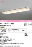 ODELIC ǥå 󥰥饤 OL291871R2EþʾLEDη¡ʰΡѤ䡡Ҹ -LIGHTING DEPOT-