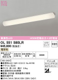 ODELIC ǥå å饤 OL551580LRþʾLEDη¡ʰΡѤ䡡Ҹ -LIGHTING DEPOT-