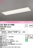 ODELIC ǥå ١饤 XD504011R6EþʾLEDη¡ʰΡѤ䡡Ҹ -LIGHTING DEPOT-